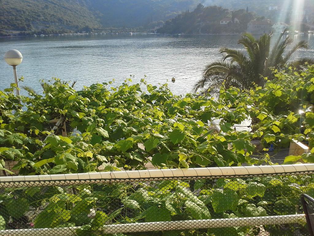 Villa Kukuljica Zaton  Rum bild